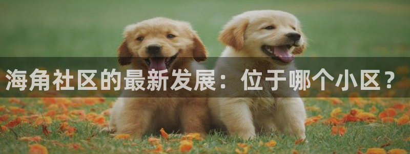 海角社区 小爽：海角社区的最新发展：位于哪个小区？