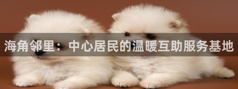 海角社务海角社区：海角邻里：中心居民的温暖互助服务基地