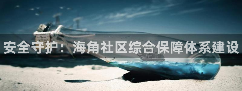 海角社区下载网站：安全守护：海角社区综合保障体系建设