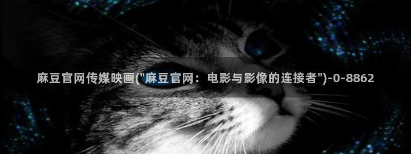 麻豆视频盘点：麻豆官网传媒映画(\