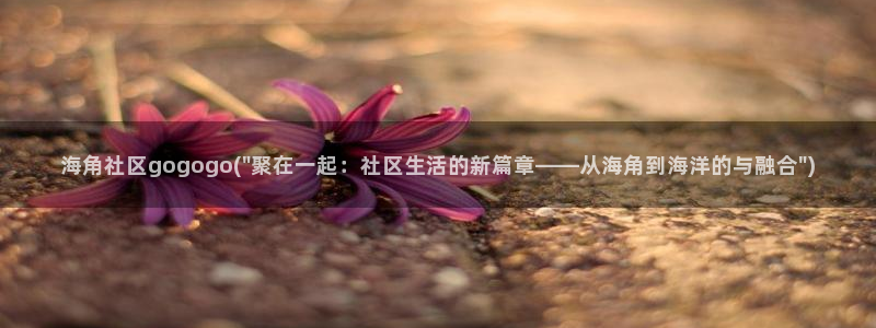 小草海角社区怎么没了