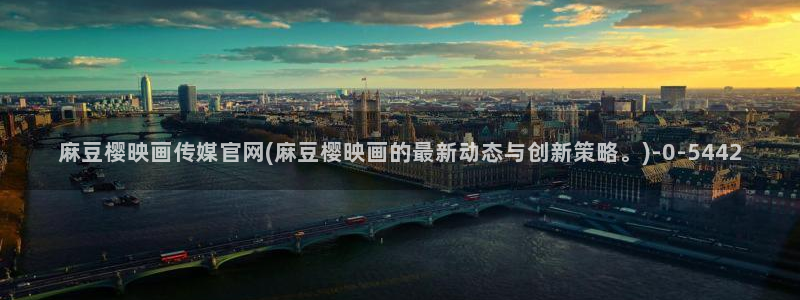 麻豆视频站内文案