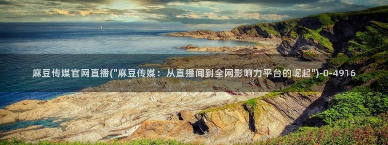 麻豆专题整理