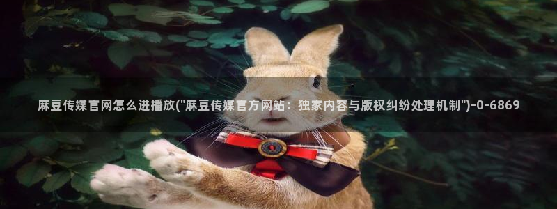 麻豆视频排行