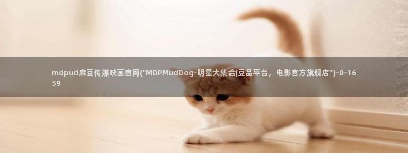 麻豆演员页