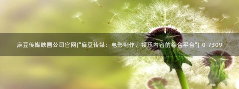 麻豆视频站群文案