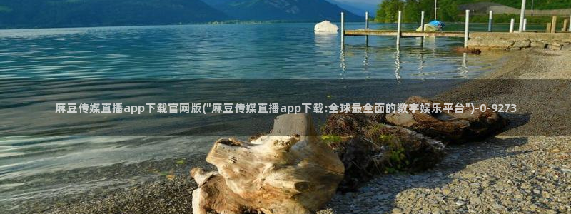 麻豆视频网站