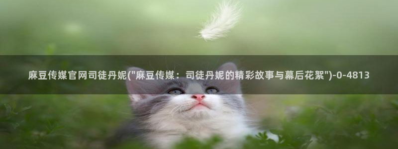 麻豆视频更新列表