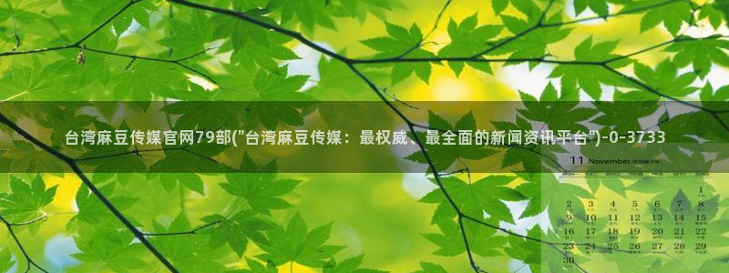 麻豆视频点评