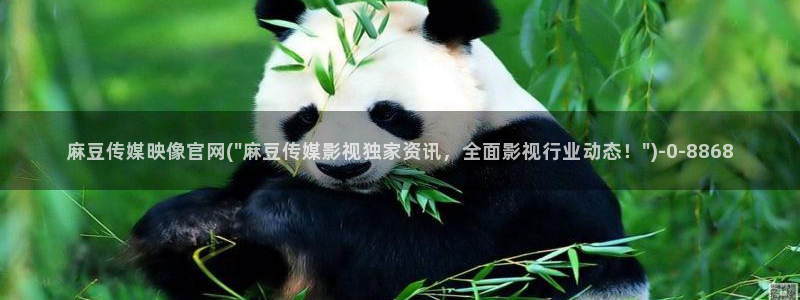 麻豆演员
