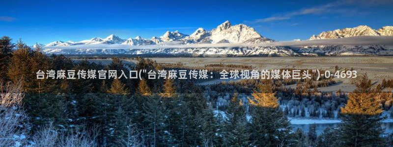 麻豆视频网