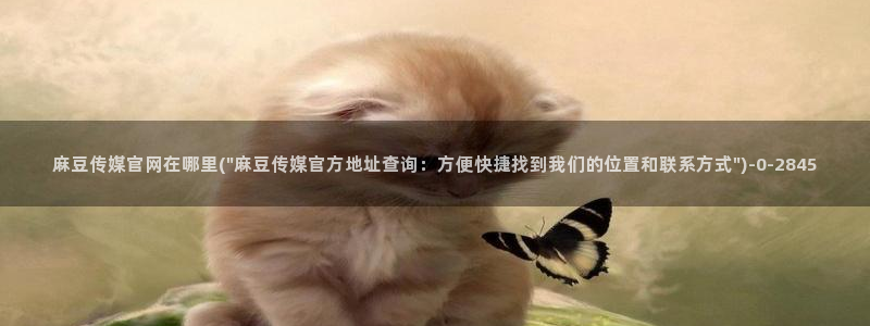 麻豆视频排行