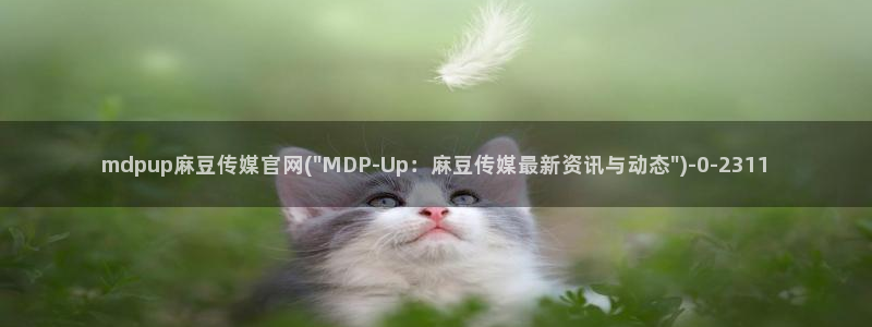 麻豆演员