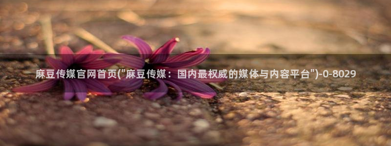 麻豆演员资料