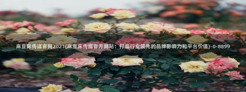 麻豆新片：麻豆床传媒官网2021(麻豆床传媒官方网站：打造行业领先的品牌