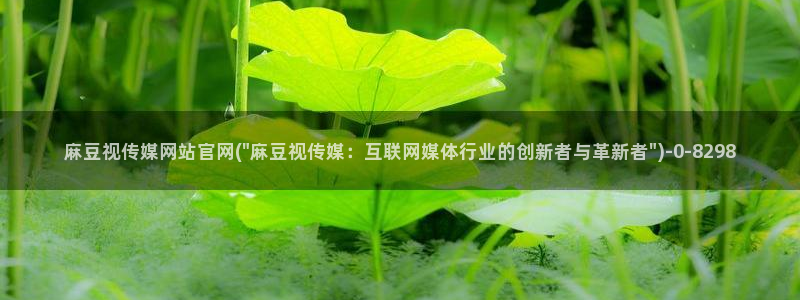 麻豆视频采集规则：麻豆视传媒网站官网(\