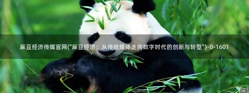 麻豆视频入口