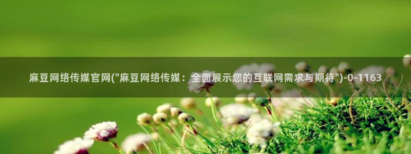 麻豆SEO模板：麻豆网络传媒官网(\
