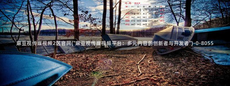 麻豆视频导航：麻豆视传媒视频2区官网(\