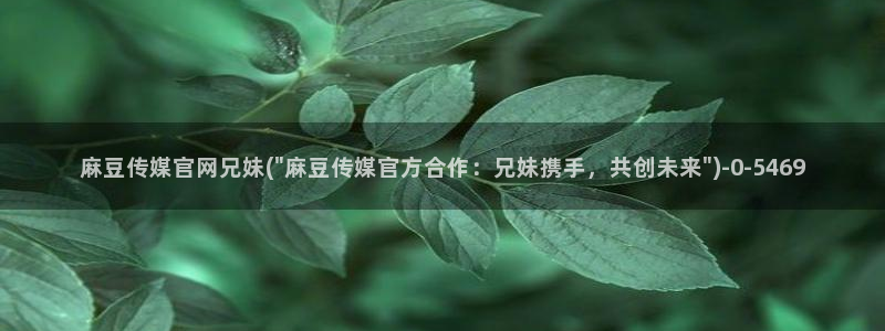 麻豆视频联系页面：麻豆传媒官网兄妹(\