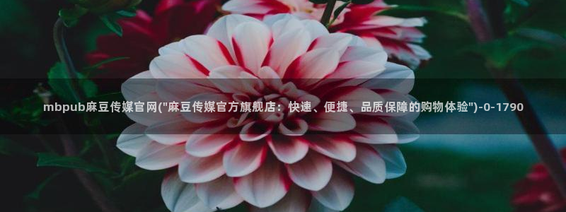 麻豆人物关系