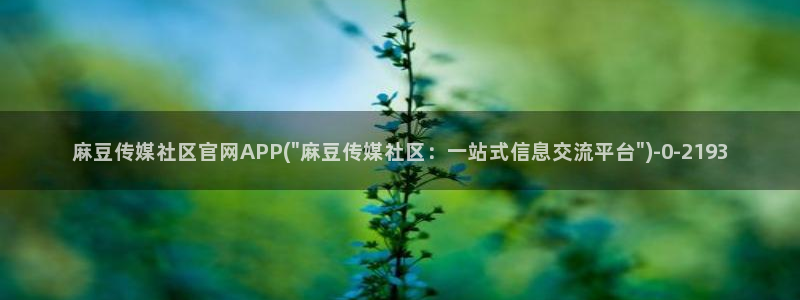 麻豆演员标题