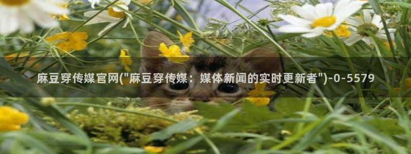 麻豆专题页：麻豆穿传媒官网(\