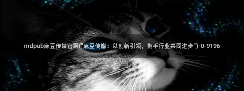 麻豆视频相关推荐词