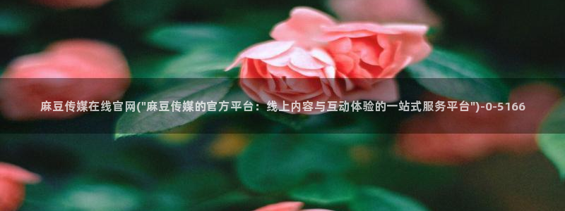 麻豆百度收录