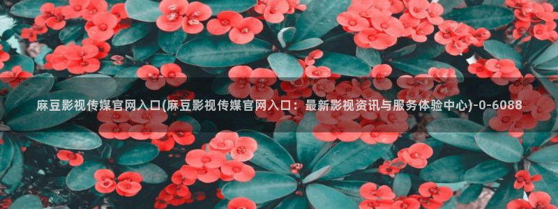 麻豆视频自然标题