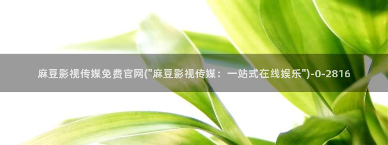 麻豆短剧