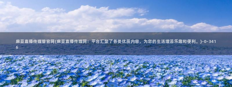 麻豆视频版权说明