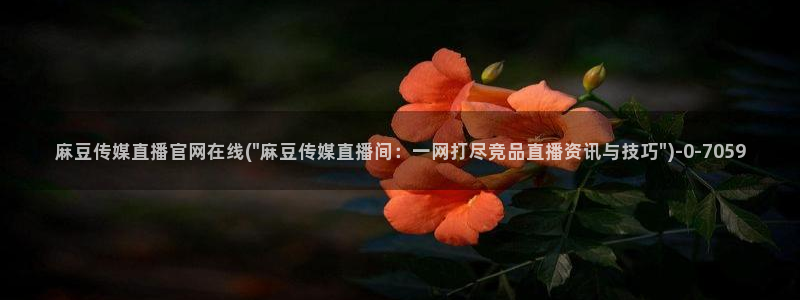 麻豆视频热门内容