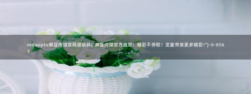 麻豆SEO关键词：mdapptv麻豆传媒官网邀请码(\
